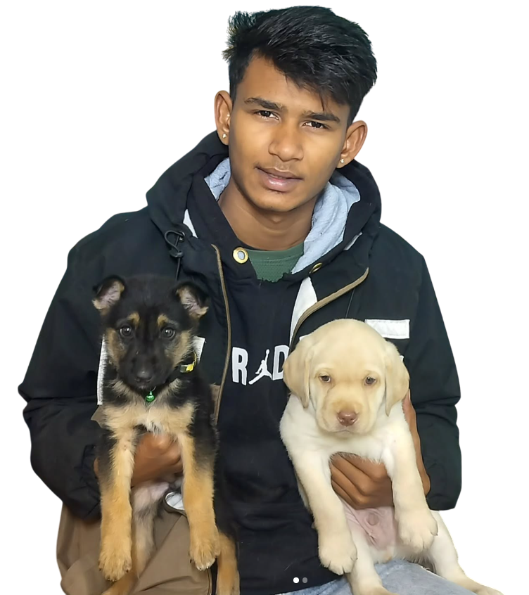 Vishesh with dogs in Jodhpur
